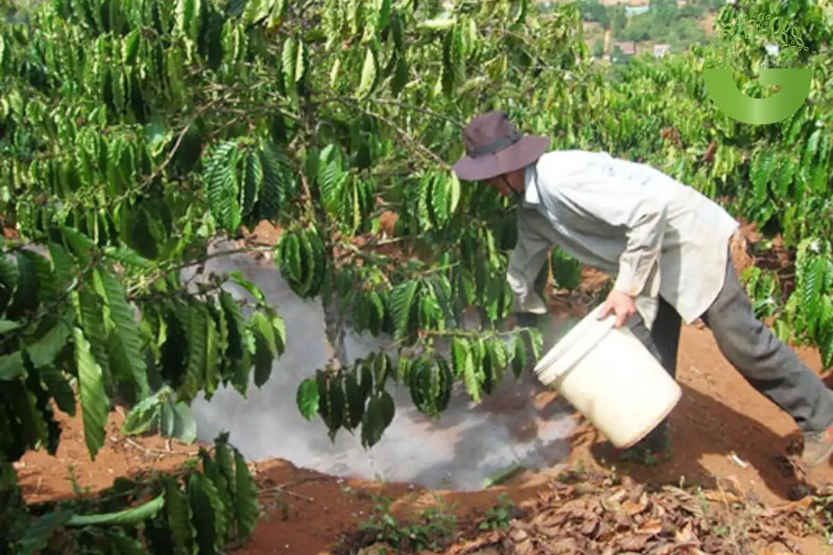 tác dụng của vôi bột