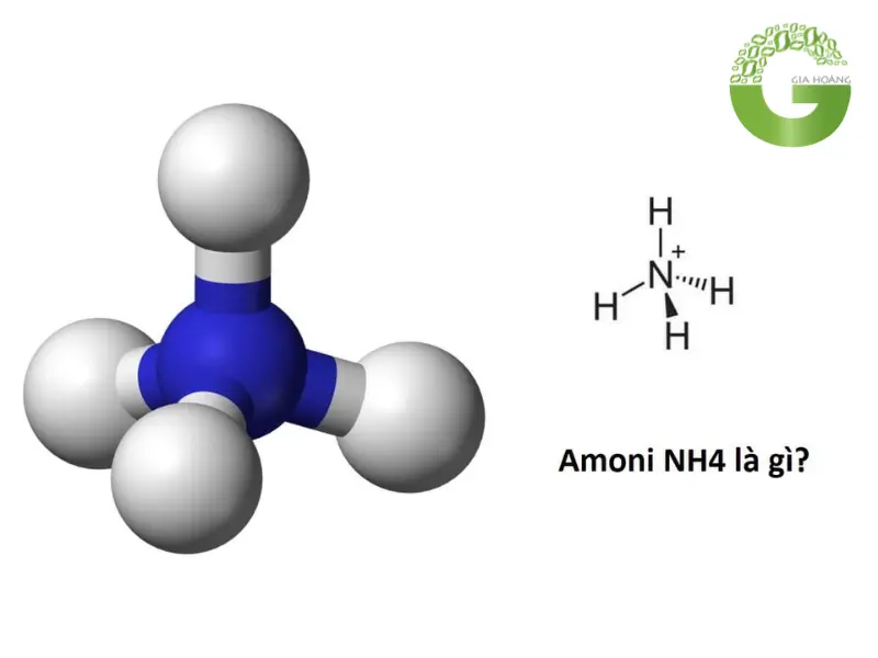 Amoni Là Gì? NH4 Là Chất Gì? Ảnh Hưởng Của Amoni Tới Sức Khỏe