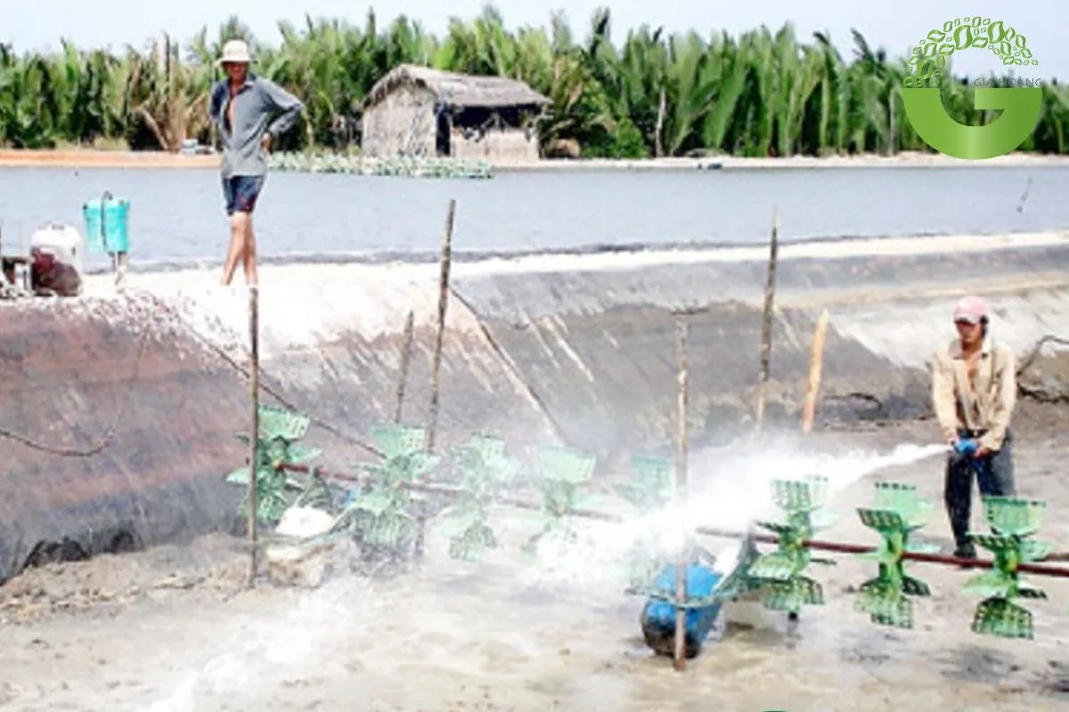 vôi bột xử lý nước