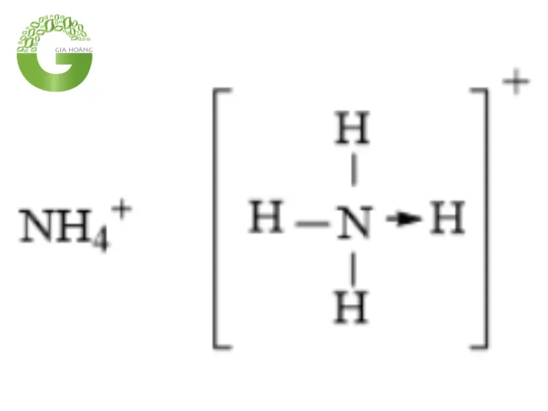 Cấu tạo phân tử của NH4