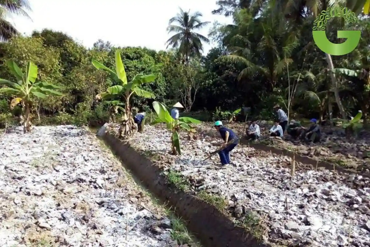 vôi bột nông nghiệp