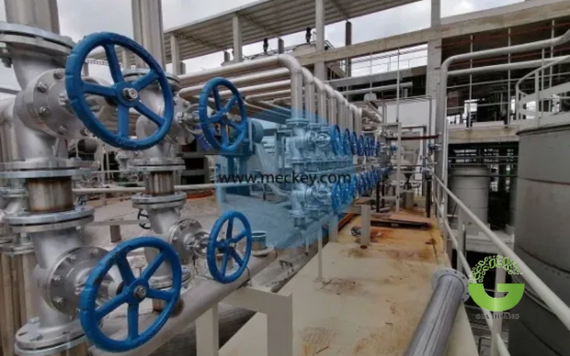 Quy Trình Sản Xuất Acid Citric Trong Công Nghiệp Hiện Nay