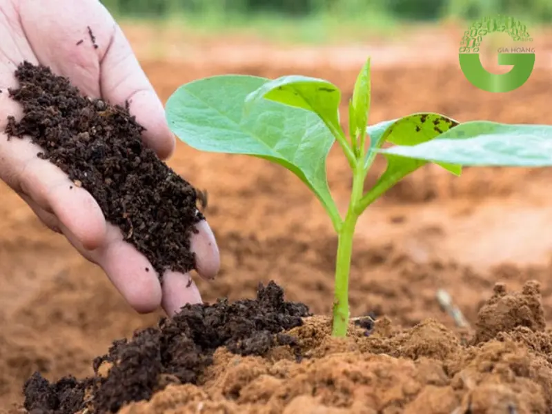 Ứng dụng của muối Ammonium Chloride