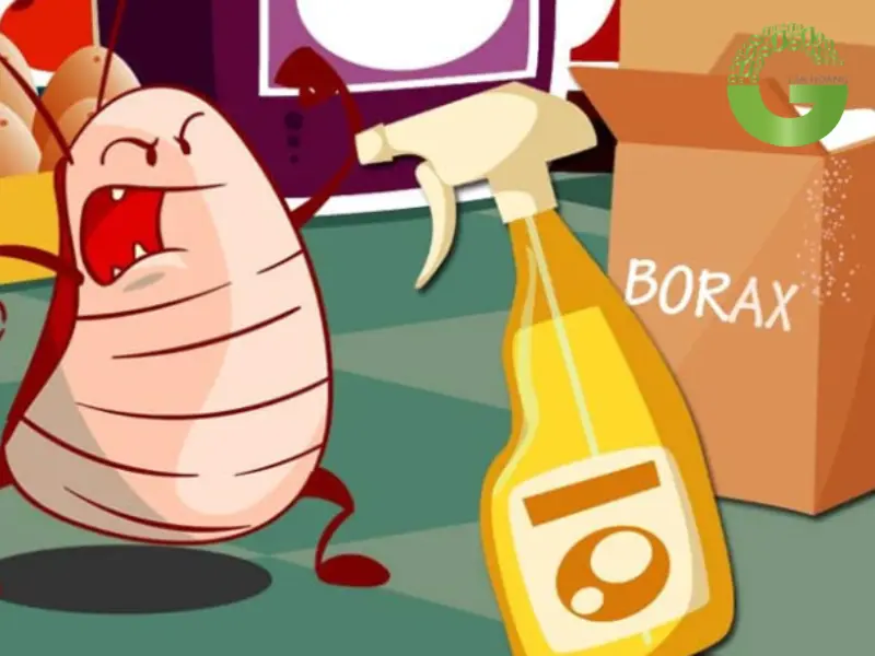 borax có độc không