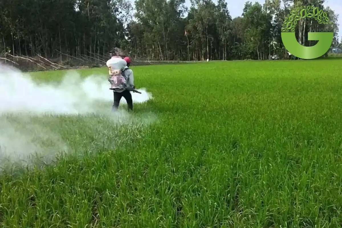 vôi bột nông nghiệp