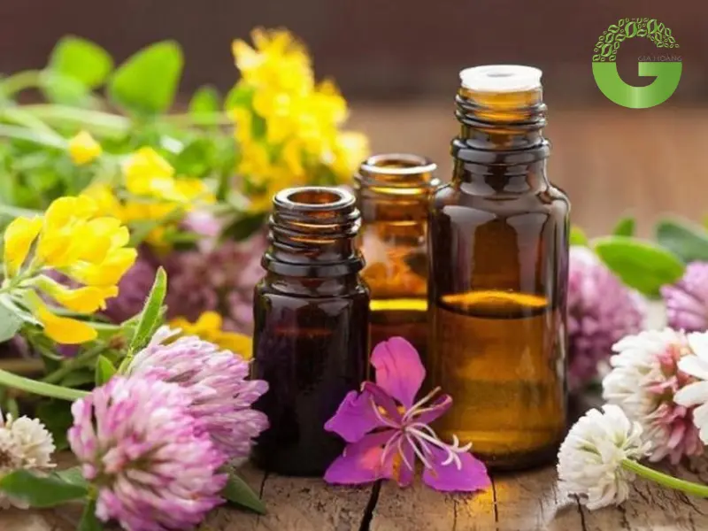 Tinh dầu có khả năng khử mùi và kháng khuẩn