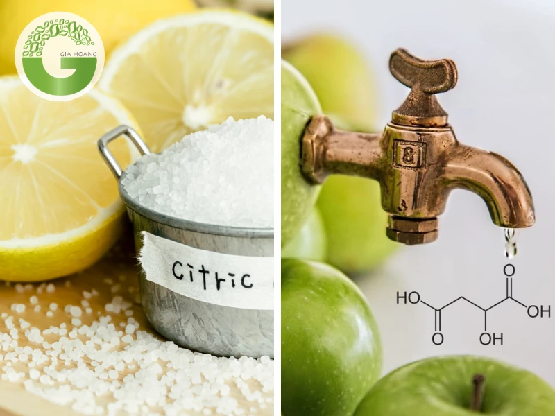 [So Sánh] Axit Citric với Axit Malic - Nên Sử Dụng Loại Nào?