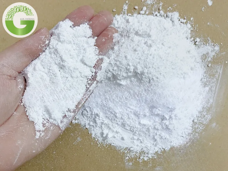 mua vôi bột ở đâu