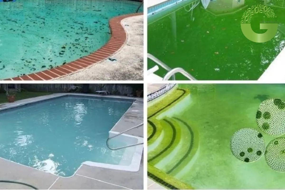 xử lý nước bằng Chlorine 