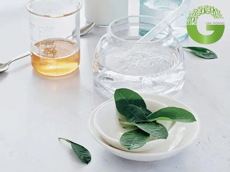 Glycerin Mua Ở Đâu? 5+ Địa Chỉ Cung Cấp Glycerin Uy Tín