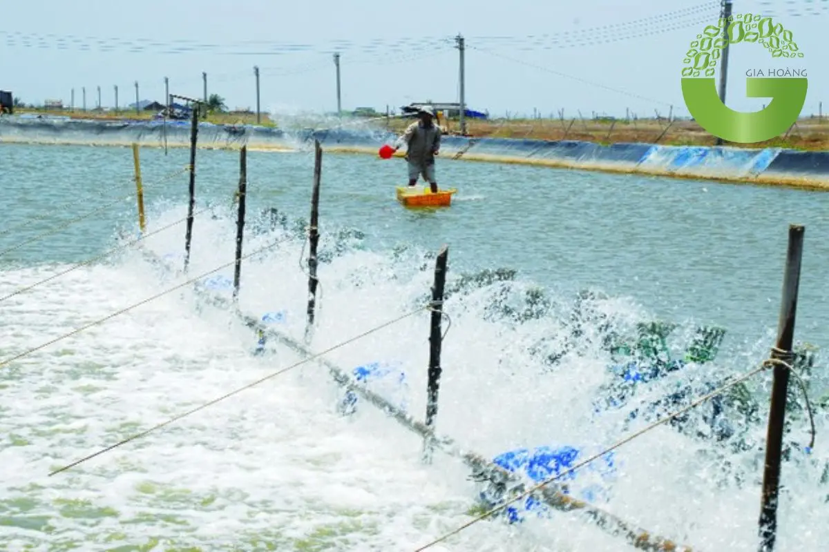 Tổng Hợp Các Loại Chlorine Xử Lý Nước Phổ Biến Hiện Nay