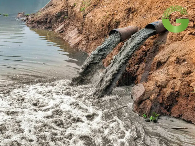 Tác động của dung môi không phân cực đến môi trường