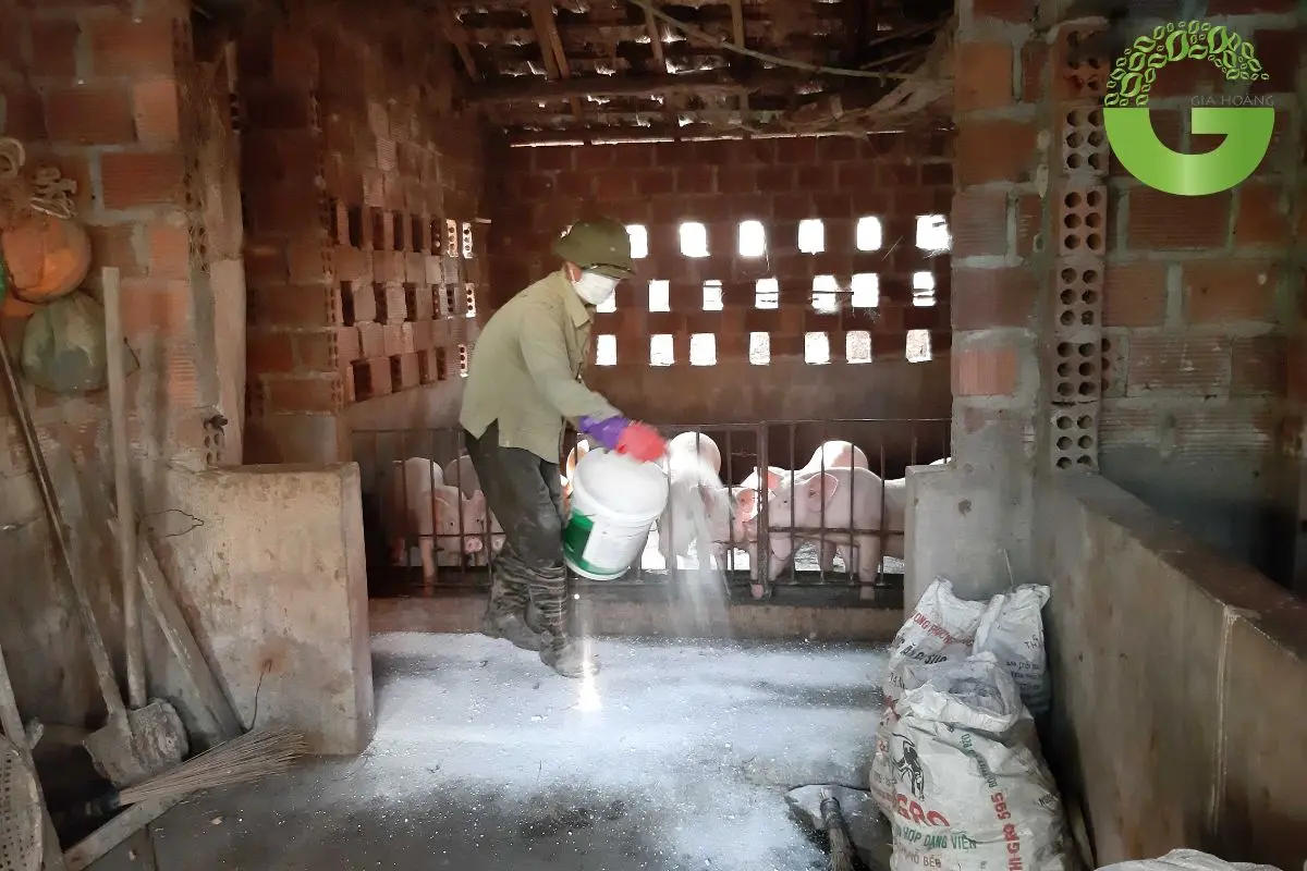 tác dụng của vôi bột trong chăn nuôi