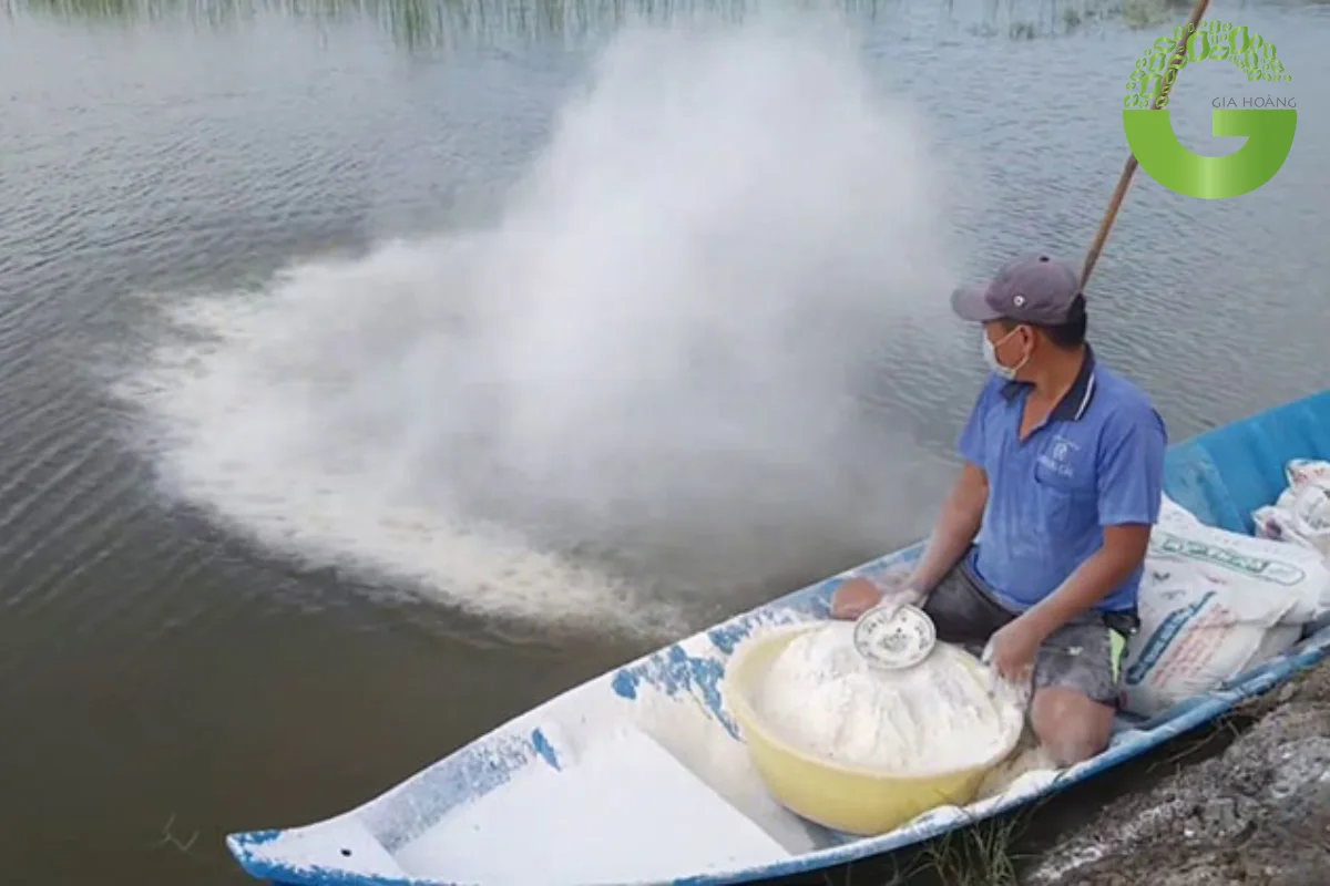 Cách Bón Vôi Cho Ao Nuôi Cá Đúng Chuẩn Đạt Hiệu Quả
