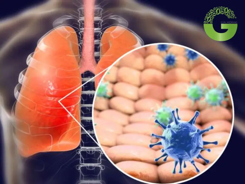 ảnh hưởng của dung môi không phân cực