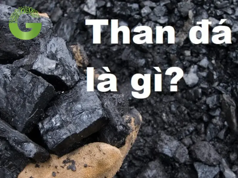 Than Đá Là Gì? Nguồn Gốc Và Những Ứng Dụng Của Than Đá