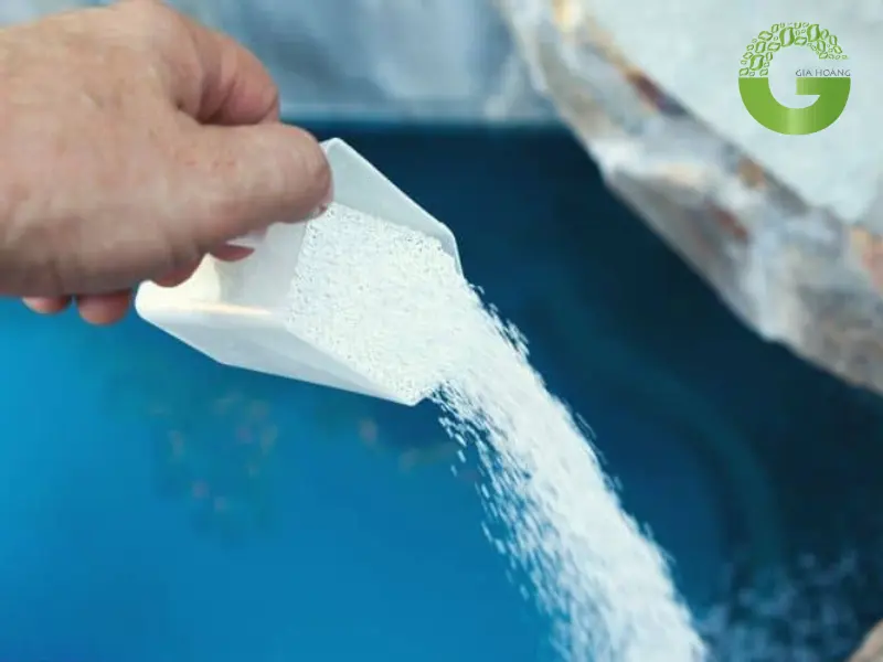Hướng dẫn sử dụng chlorine bột