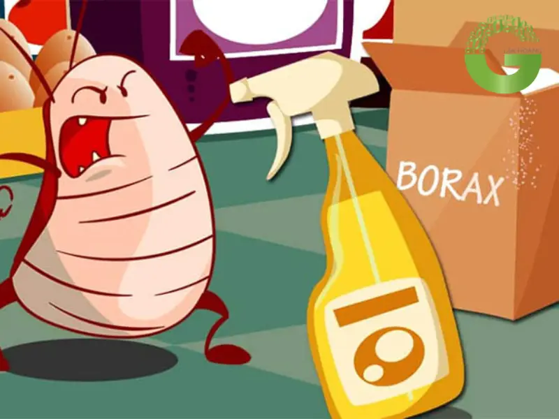 borax là gì