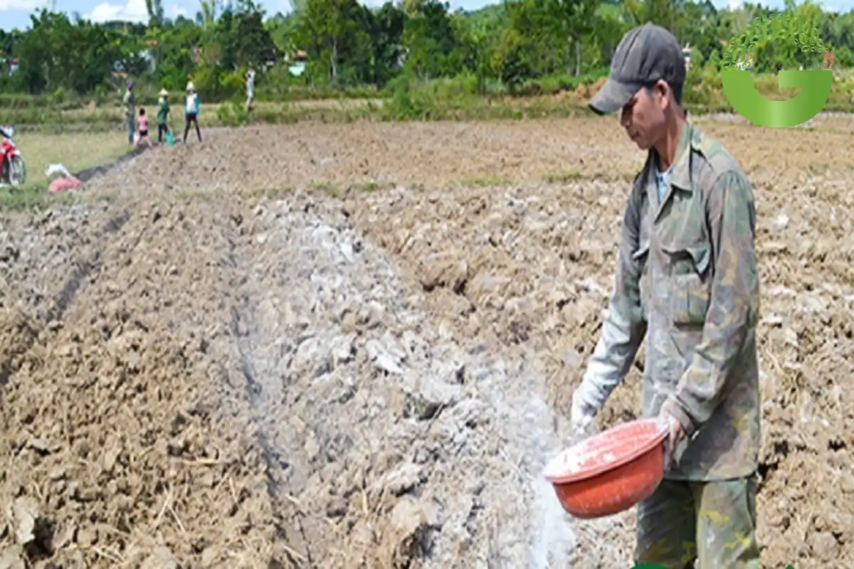 vôi tôi bắn vào mắt
