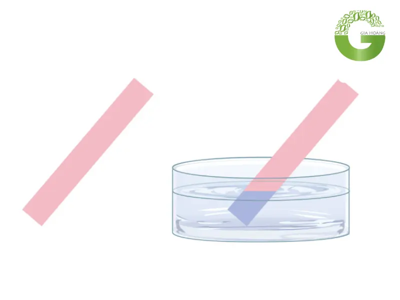 Tính chất của Acid Axetic
