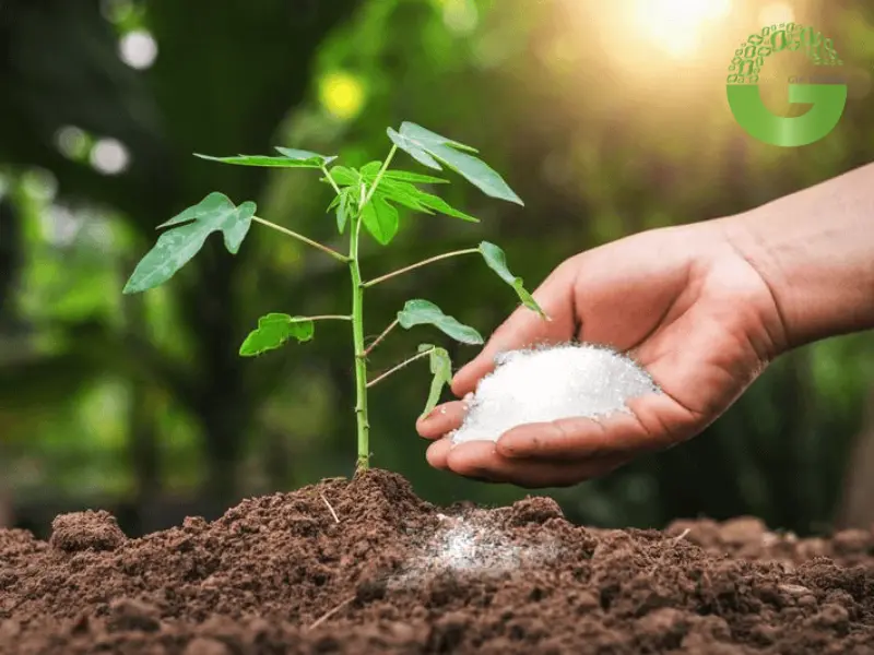 Ứng dụng của muối Amoniac NH3 là gì