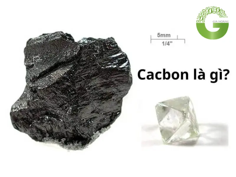 cacbon là gì