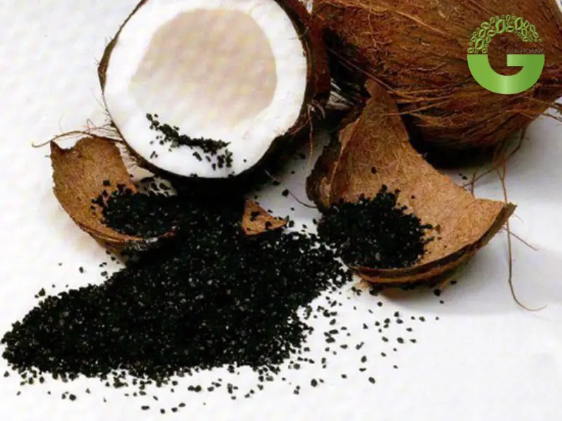 than hoạt tính gáo dừa