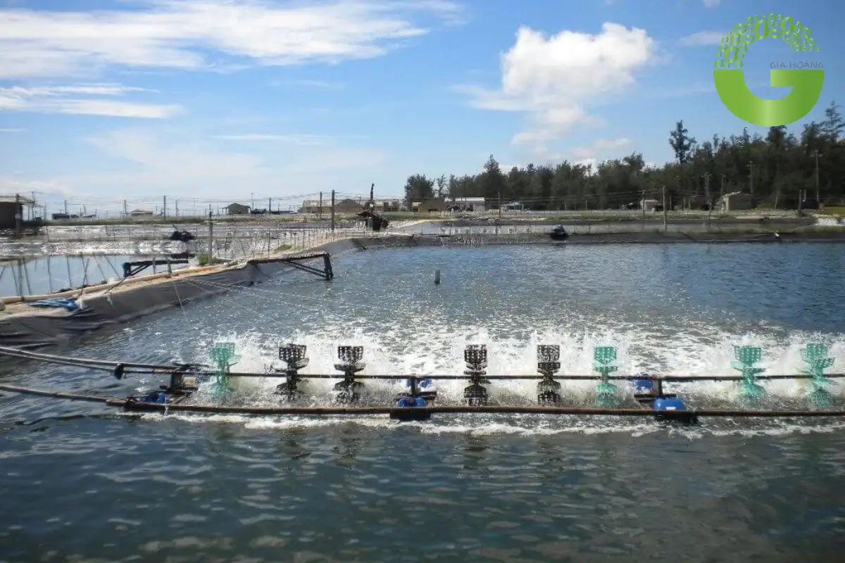Ứng dụng của Chlorine 