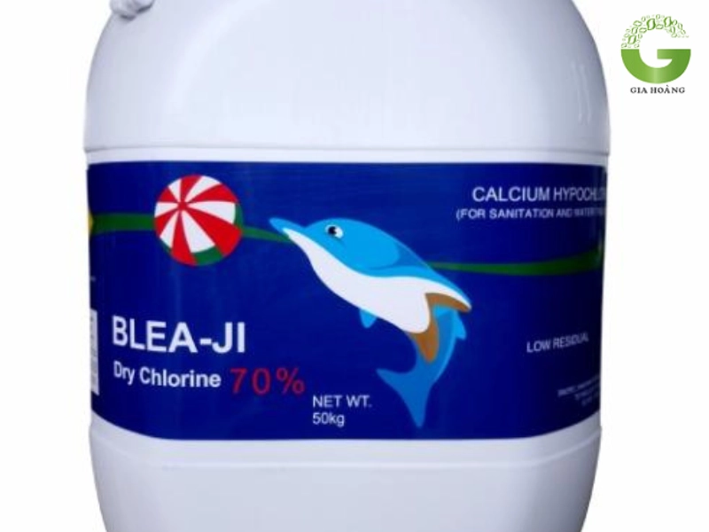 clorin cá heo