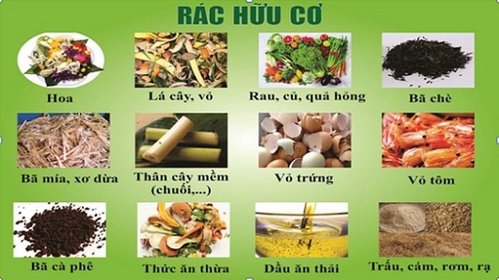 [HƯỚNG DẪN] 3+ cách xử lý rác thải hữu cơ tốt nhất