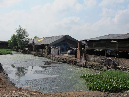 #6+ phương pháp xử lý nước thải chăn nuôi đơn giản, hiệu quả
