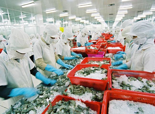 #8+ phương pháp và hệ thống xử lý nước thải thủy sản