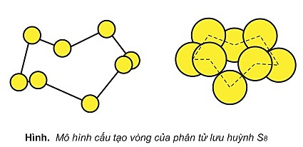 cau-tao-phan-tu-S